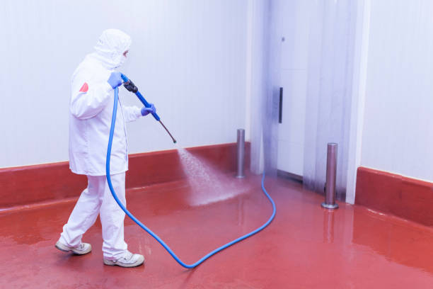 Pre-Holiday Cleaning in Manhattan, NY